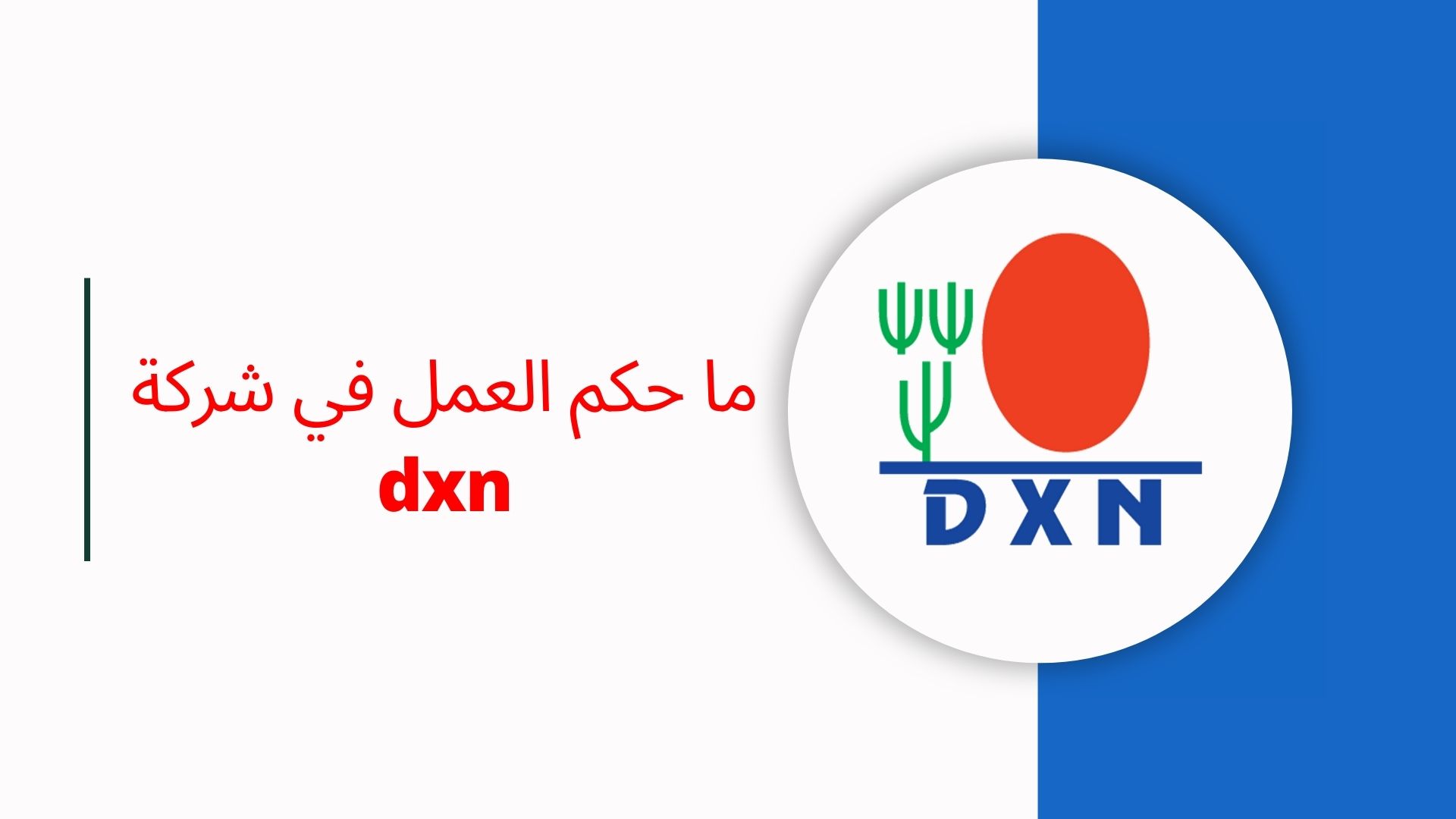 هل شركة dxn حلال ام حرام