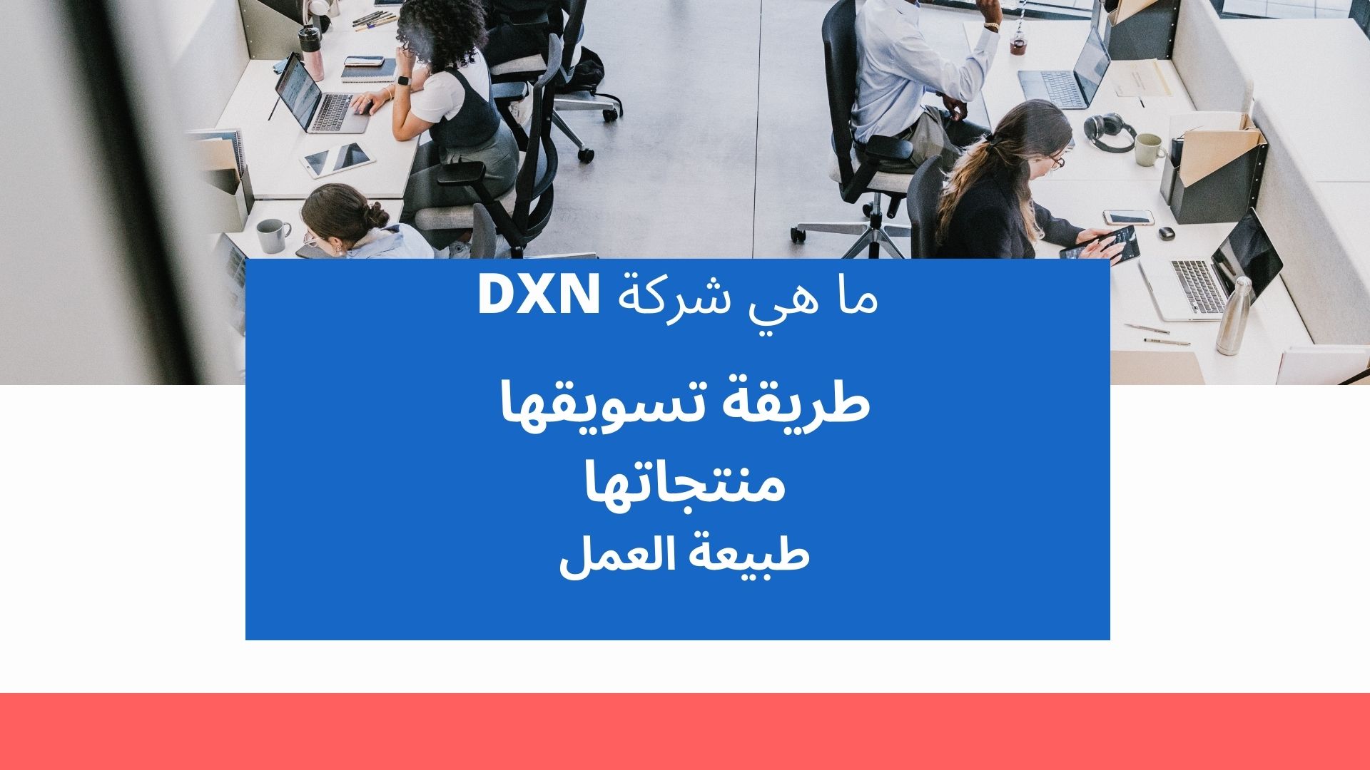 ما هي شركة dxn