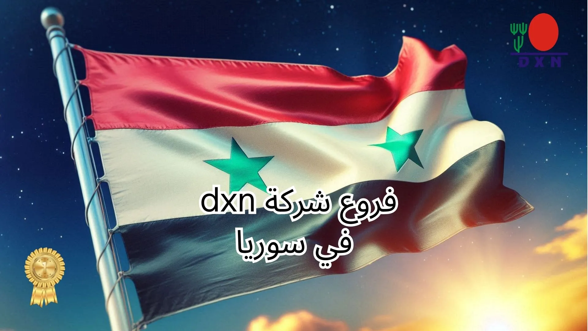 فروع شركة dxn في سوريا