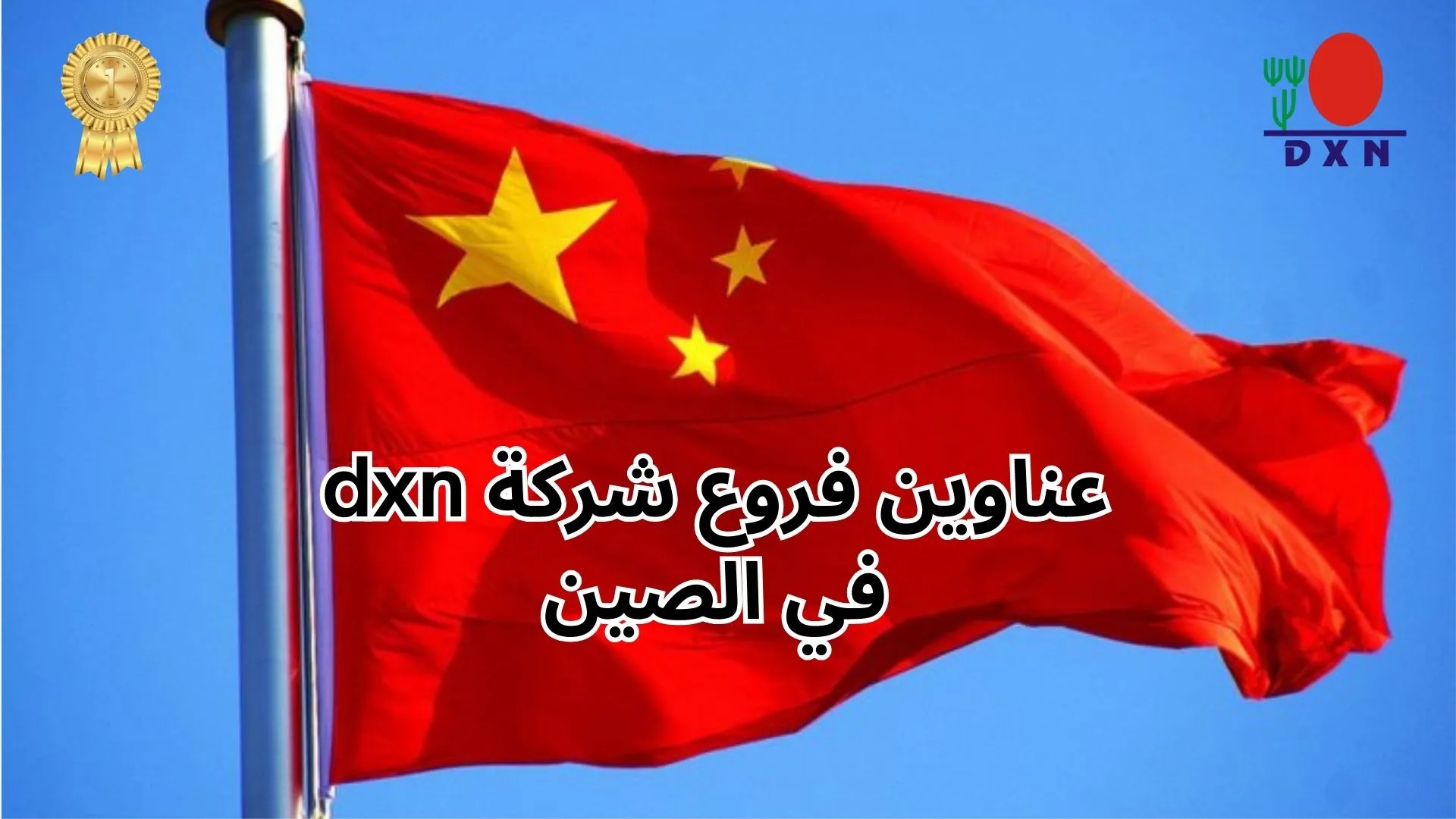 عناوين فروع شركة DXN في الصين