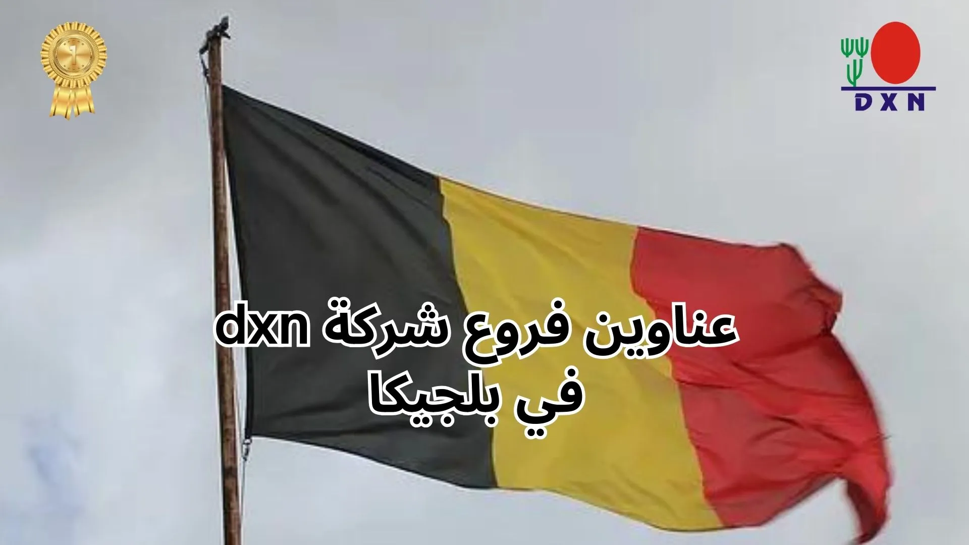 عناوين فروع شركة dxn في بلجيكا